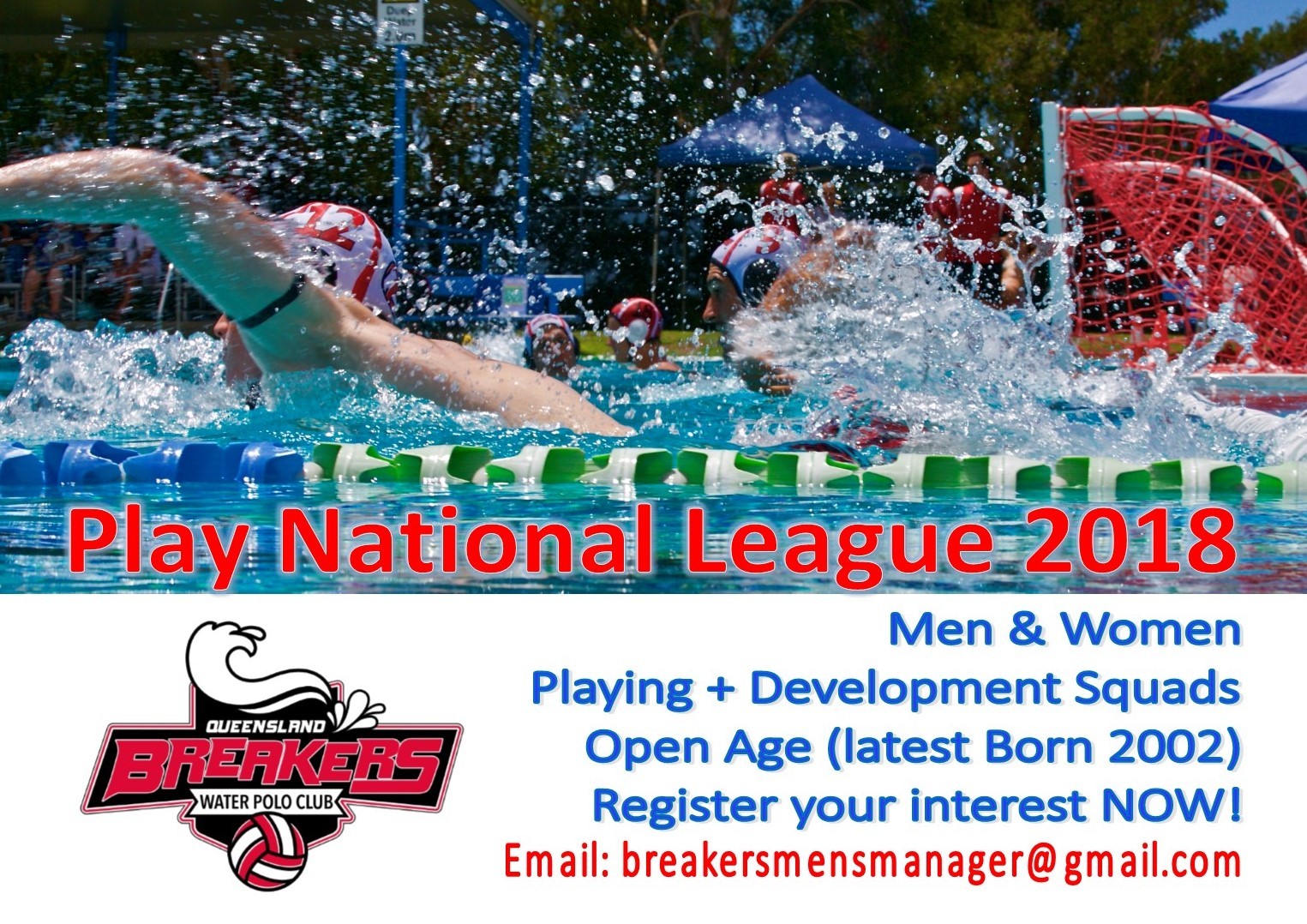 Polo Bears North Brisbane Water Polo BREAKERS are BACK