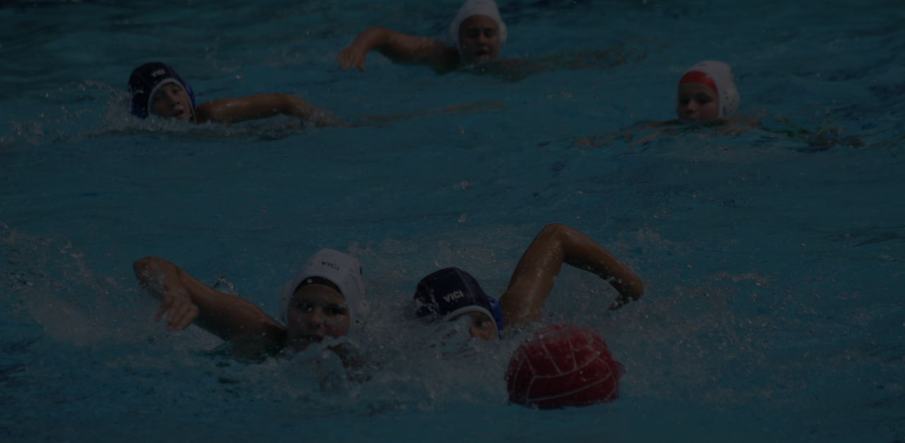 Polo Bears North Brisbane Water Polo Registrations
